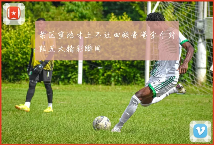 禁区重地寸土不让回顾香港金牛封阻五大精彩瞬间